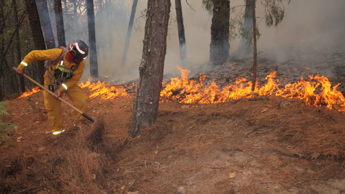 Incendios - Apoyo Regio