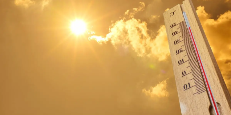 Ola De Calor En Monterrey - Apoyo Regio