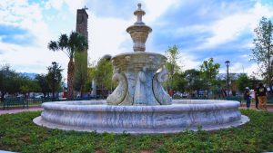 La-purísima-reforestación-de-áreas-verdes-de-monterrey