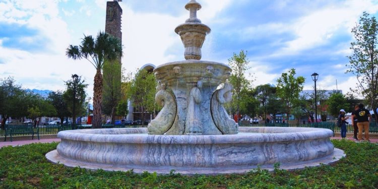 La-purísima-reforestación-de-áreas-verdes-de-monterrey - Apoyo Regio