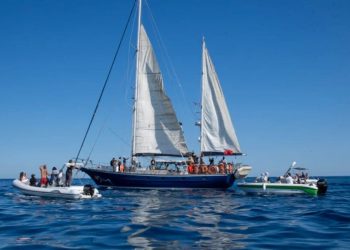 flotilla-de-libertad-FFC-Israel-intercepción