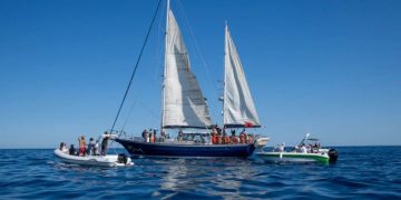 Flotilla-de-libertad-ffc-israel-intercepción - Apoyo Regio