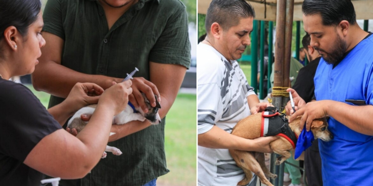 Lincoln, Monterrey - Apoyo Regio