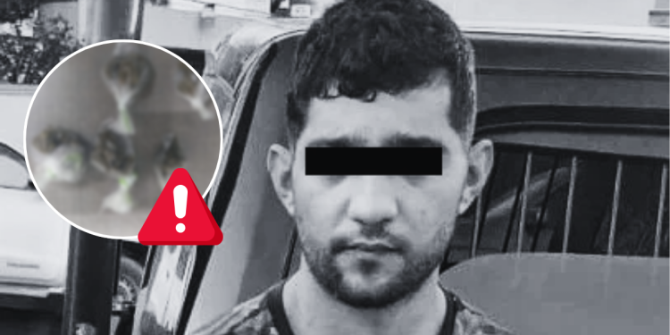 Detención-en-monterrey - Apoyo Regio