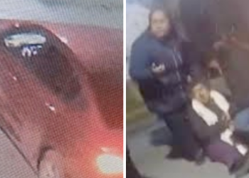 ocho-atropellados-peregrinación-Hidalgo-peligros-viales