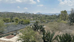 Parque-ecológico-Tula-economía-circular-Semarnat-Hidalgo-Valle-Mezquital-impacto-ambiental