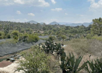 Parque-ecológico-Tula-economía-circular-Semarnat-Hidalgo-Valle-Mezquital-impacto-ambiental