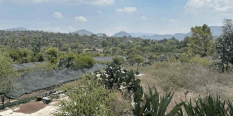 Parque Ecológico Tula - Apoyo Regio Parque-ecológico-tula-economía-circular-semarnat-hidalgo-valle-mezquital-impacto-ambiental - Apoyo Regio