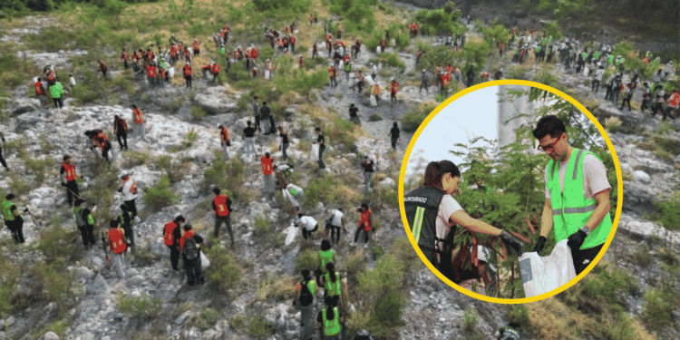 Jornada De Reciclaje Y Limpieza - Apoyo Regio - Apoyo Regio