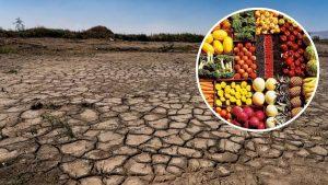 El Niño disparará los precios de la comida en México hasta 2027.