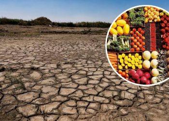 El Niño disparará los precios de la comida en México hasta 2027.