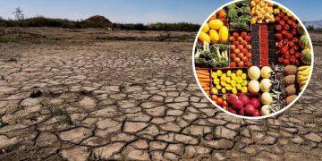 El Niño Disparará Los Precios De La Comida En México Hasta 2027. - Apoyo Regio